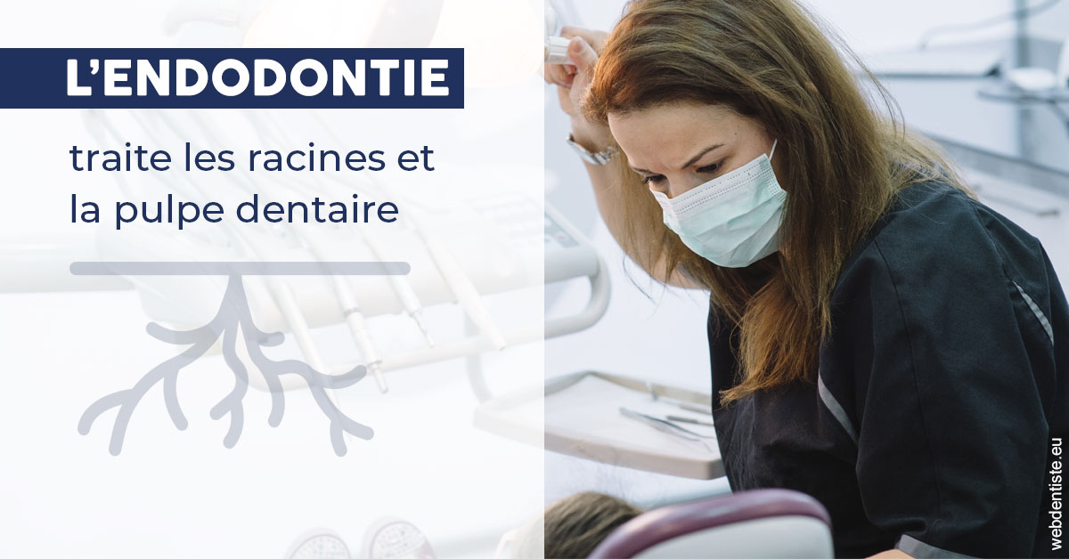https://dr-pensa-sandra.chirurgiens-dentistes.fr/L'endodontie 1